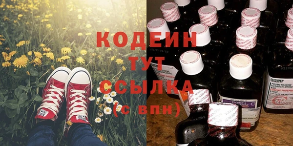 индика Михайловка
