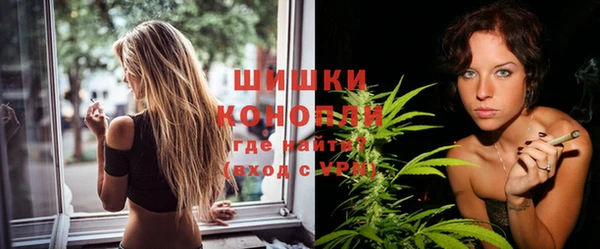 индика Михайловка