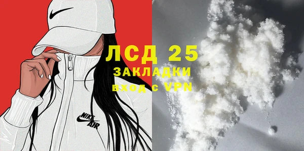 ГАЛЛЮЦИНОГЕННЫЕ ГРИБЫ Михайлов