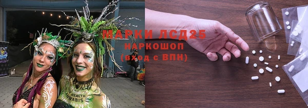 индика Михайловка