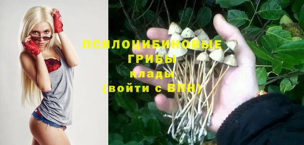 ГАЛЛЮЦИНОГЕННЫЕ ГРИБЫ Михайлов