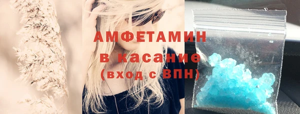 ГАЛЛЮЦИНОГЕННЫЕ ГРИБЫ Михайлов